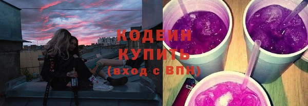 молекула духа Туринск
