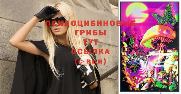 кокс Богородицк