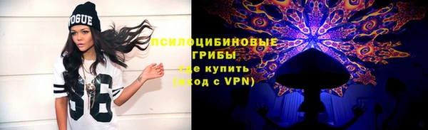 твердый Богородск
