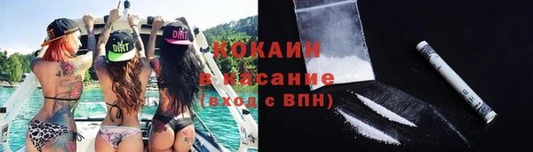 кокс Богородицк