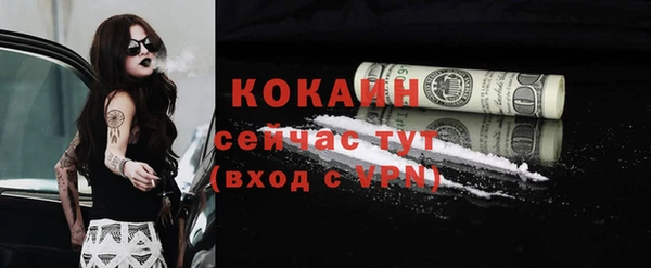 кокс Богородицк