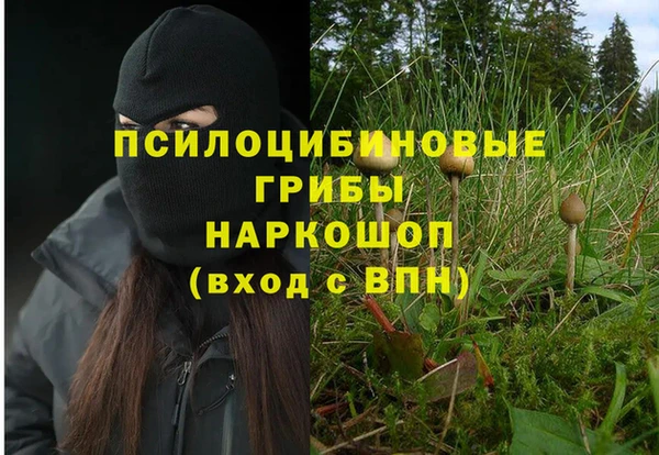 кокс Богородицк