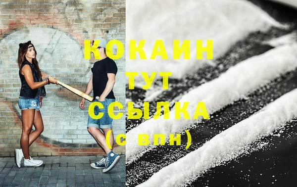 твердый Богородск