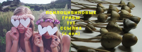 кокс Богородицк